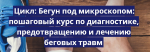 39564_0.png 39564_0.png