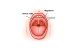 900e8725b513c3e5febbfafd52e70907.png 900e8725b513c3e5febbfafd52e70907.png