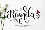 Rosnila-Fonts-8935507-1-1-580x386.jpg