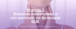 05чумак.png