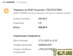 Screenshot 2023-11-17 at 19-34-08 QIWI Кошелек.png