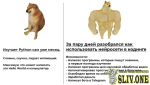 777.png 777.png
