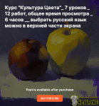 777.png 777.png